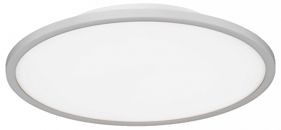 Накладной светильник EVOLUCE TASSEN SLE1811-502-01