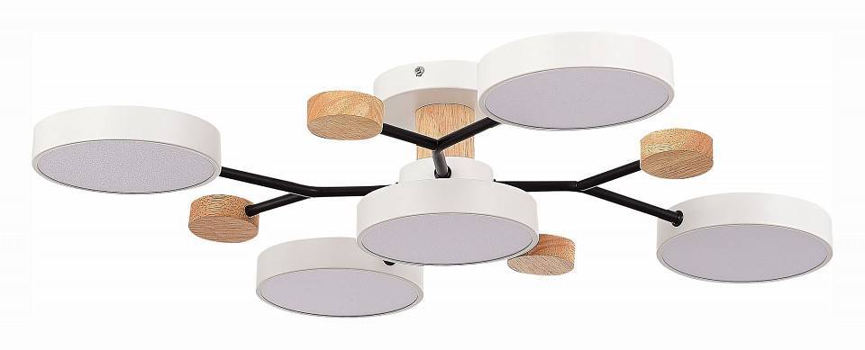 Потолочная люстра EVOLUCE Faema 5 ламп SLE6006-502-05