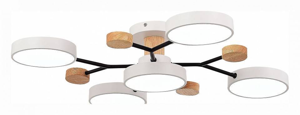 Потолочная люстра EVOLUCE Faema 5 ламп SLE6006-502-05