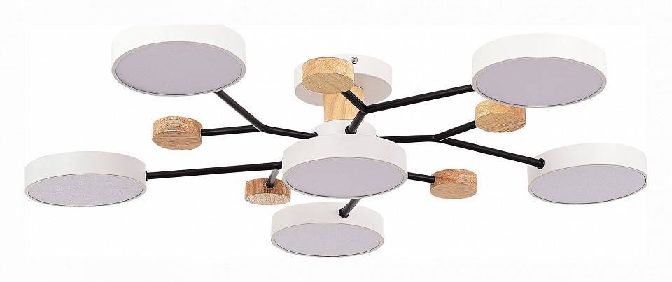 Потолочная люстра EVOLUCE Faema 6 ламп SLE6006-502-06