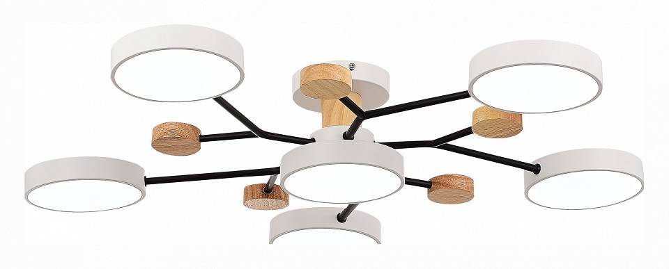 Потолочная люстра EVOLUCE Faema 6 ламп SLE6006-502-06