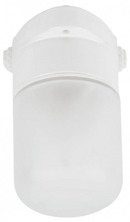 Накладной светильник Feron НББ 01-60-101 УХЛ1 53164