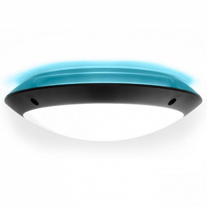 Накладной светильник Fumagalli Lucia 1R3.000.000.AYE27BU1