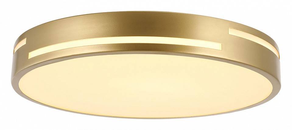 Накладной светильник F-promo Pall 2745-2C