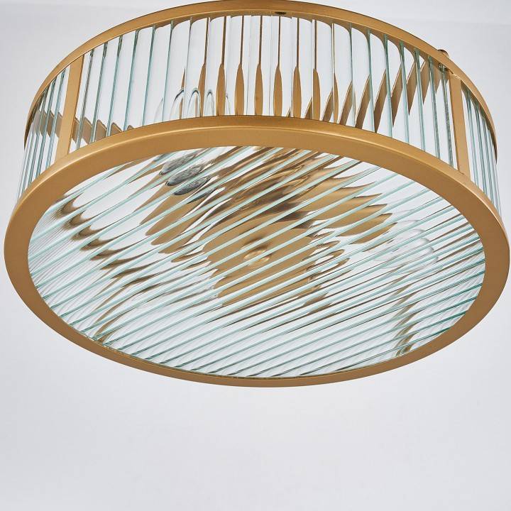 Люстра подвесная Favourite Radiales 3099-3P