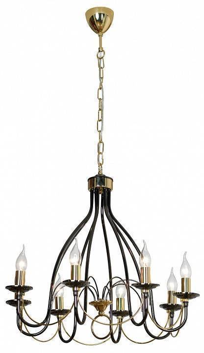 Подвесная люстра Lussole Todi GRLSA-4613-08