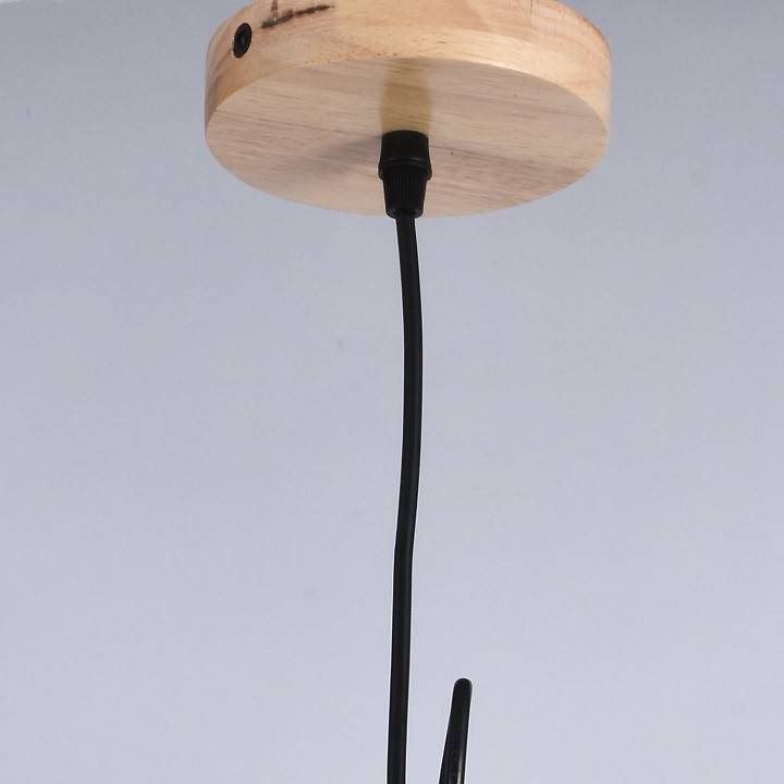 Подвесной светильник ILLUMICO  IL1011-1P-05 BK