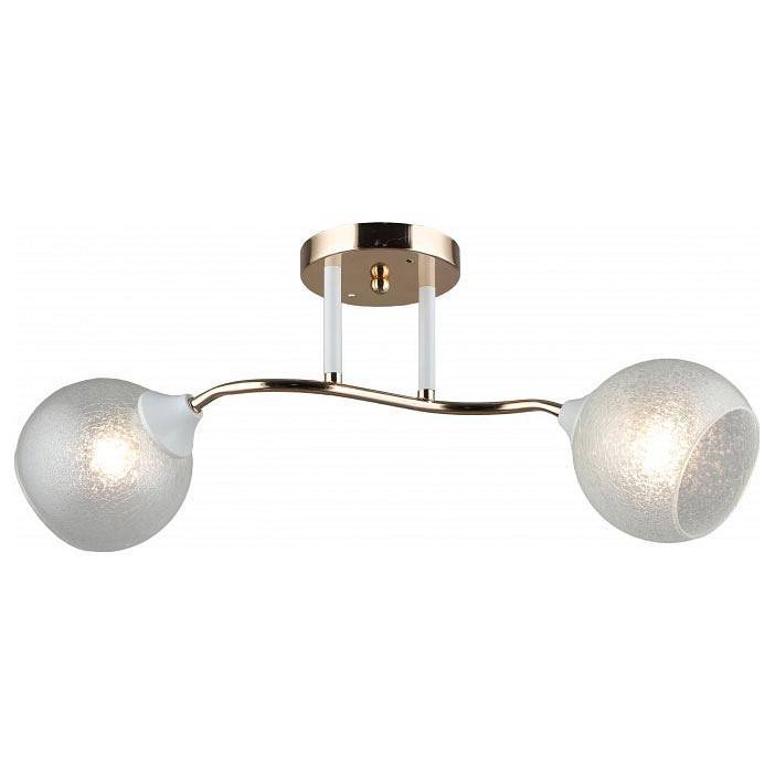 Накладной светильник Imex MD.2131-2-S-FGD+WT