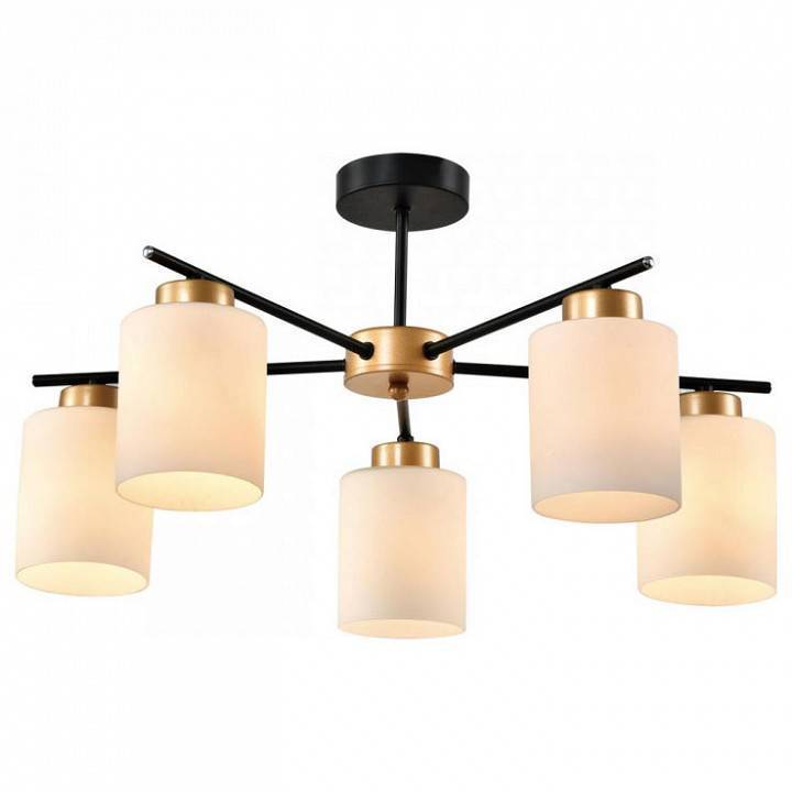 Люстра на штанге Imex Troya 5 ламп MD.22436-5-S-BK+MGD