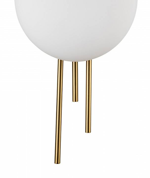 Накладной светильник Indigo Astro 14007/1W Brass