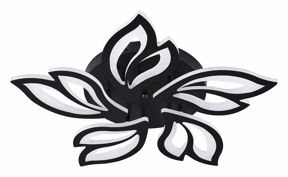 Потолочная люстра Natali Kovaltseva High-Tech HIGH-TECH LED LAMPS 82006 BLACK