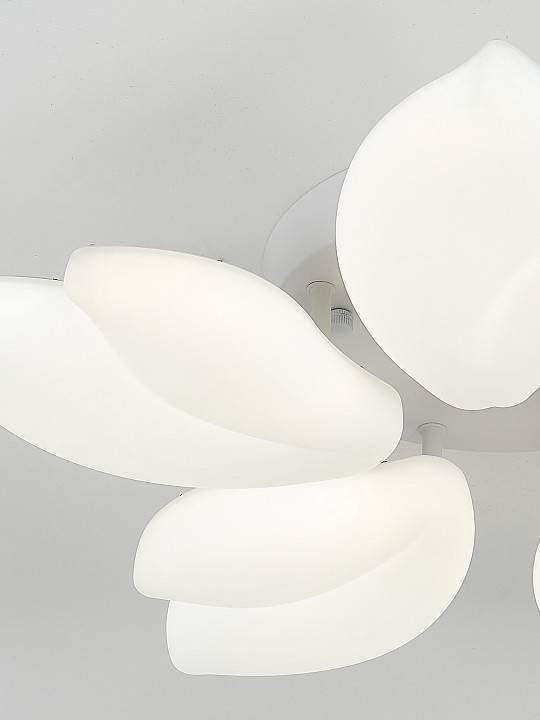 Потолочная люстра Natali Kovaltseva Effect LED LAMPS 81116