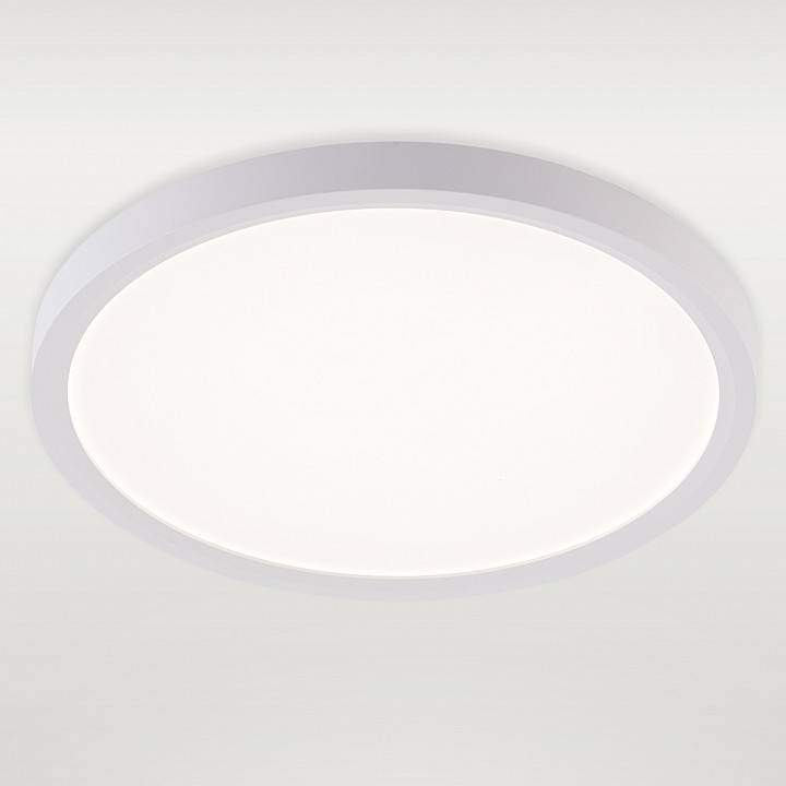 Светильник накладной Natali Kovaltseva Plain LED LAMPS 81113/2C
