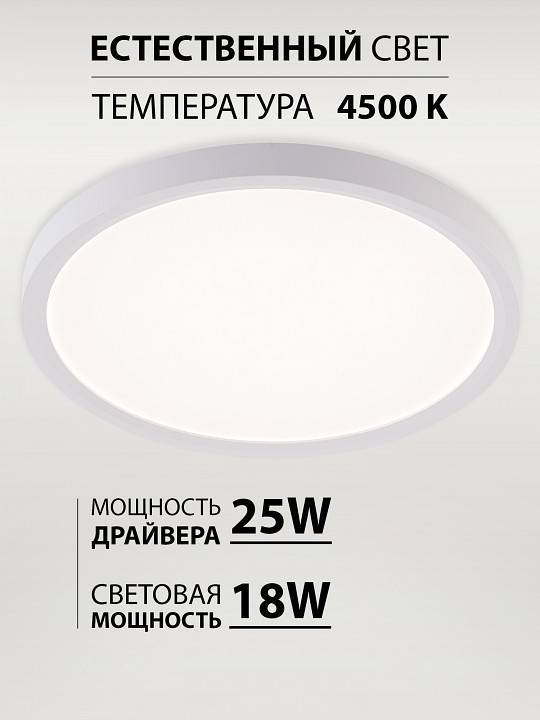 Светильник накладной Natali Kovaltseva Plain LED LAMPS 81113/2C