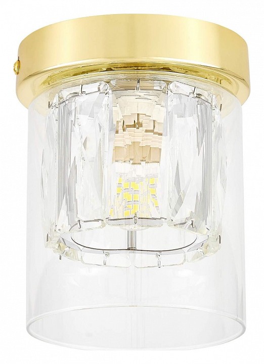 Накладной светильник Lampit DENI TC 2020-1 GD