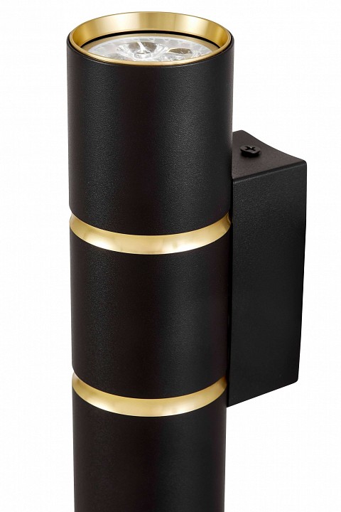 Накладной светильник Lampit ASTI TS TK40-W2 BK+GD