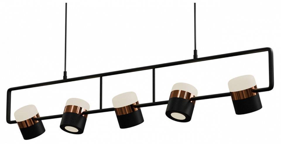 Подвесной светильник LIGHTERA Rudolf LE114L-5B SMART