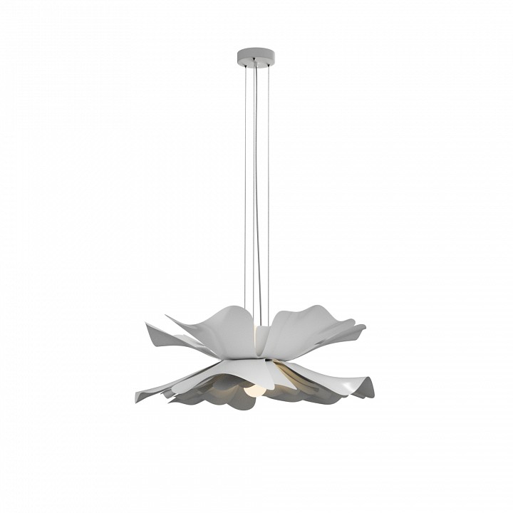 Подвесной светильник LIGHTERA Chad LE116L-55W