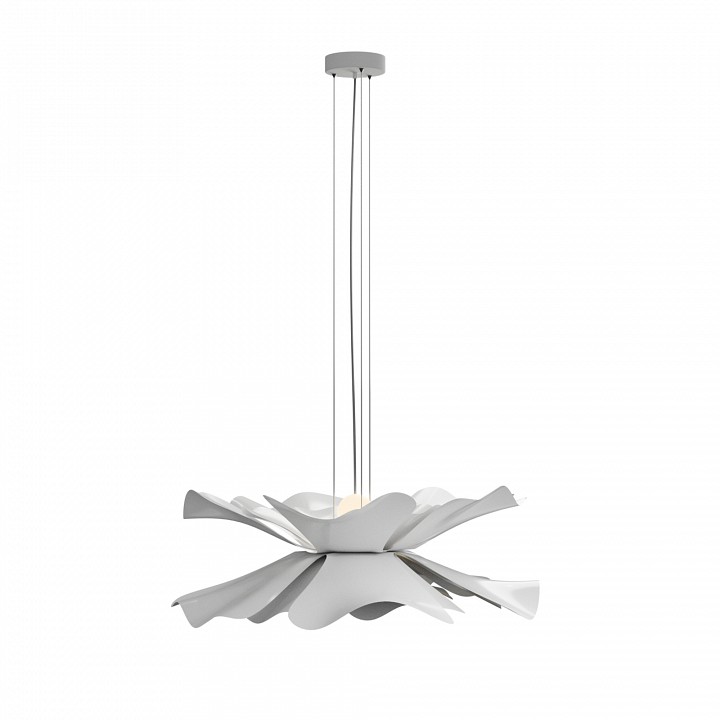 Подвесной светильник LIGHTERA Chad LE116L-55W