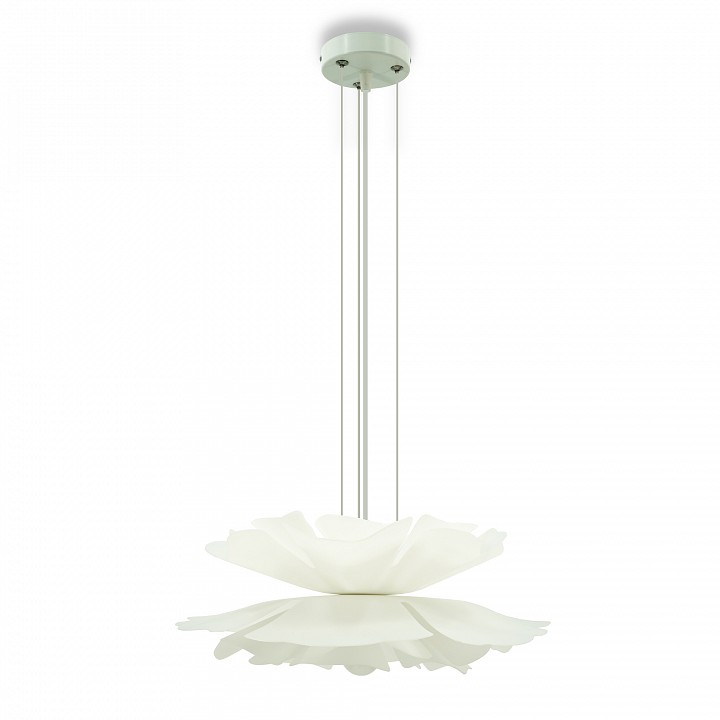 Подвесной светильник LIGHTERA Chad LE116L-55W