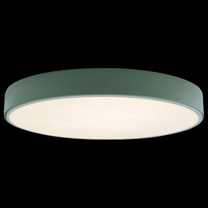 Накладной светильник Loft it Axel 1 10002/24 Green