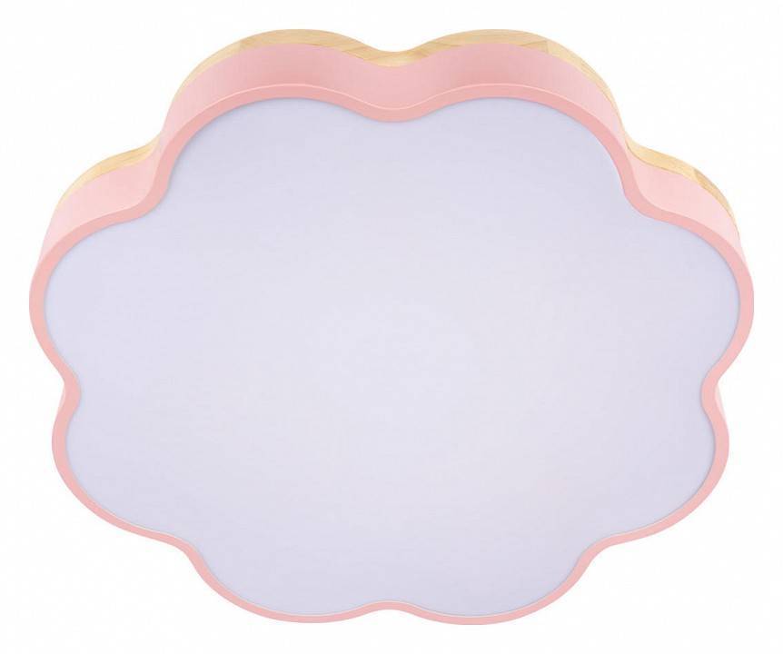 Накладной светильник Loft it Axel 10225/36 Pink