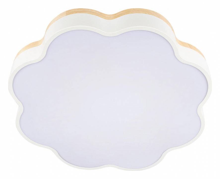 Накладной светильник Loft it Axel 10225/36 White