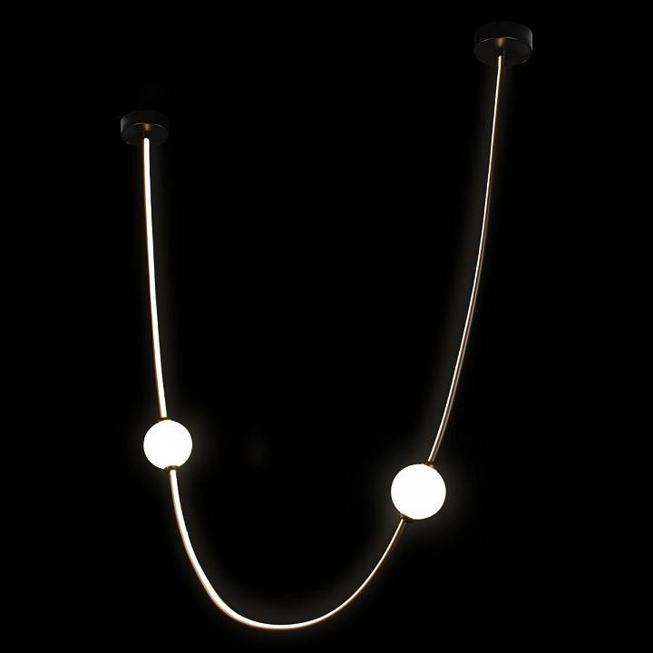 Подвесной светильник Loft it Embrace 10242/800 Black