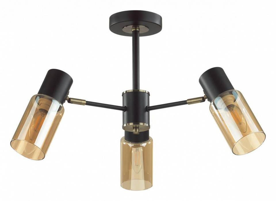 Люстра на штанге Lumion Ronnie 5644/3C