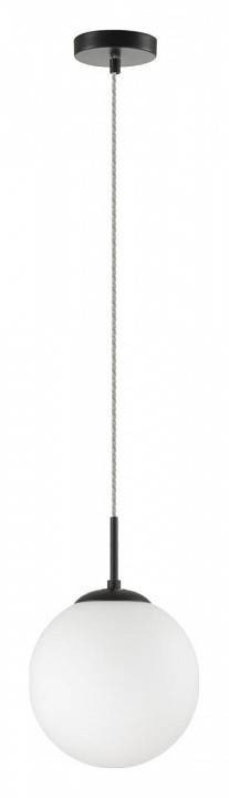 Подвесной светильник Lumion Suspentioni 6510/1B