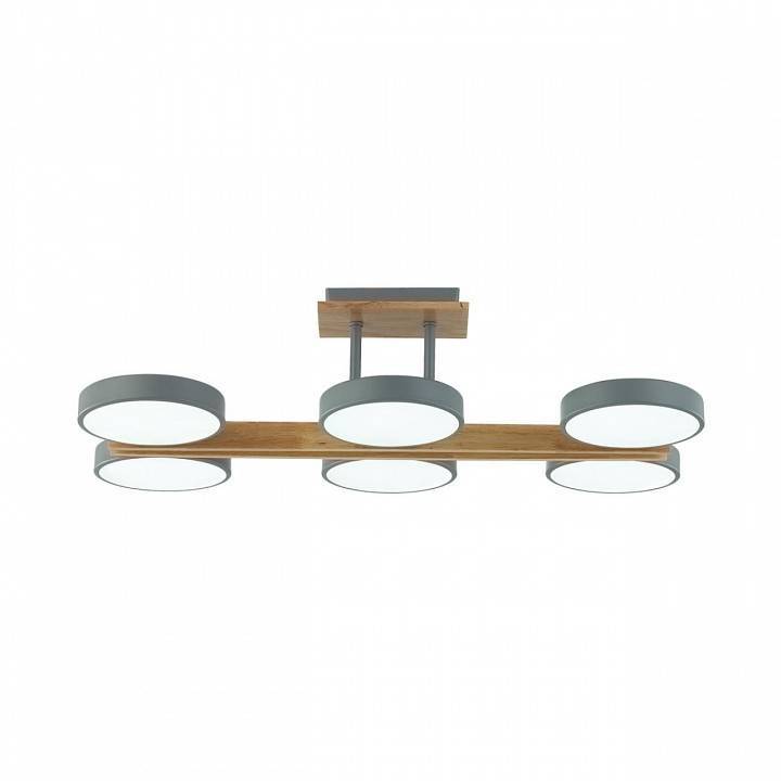 Люстра на штанге Lumion Plato 8031/108CL