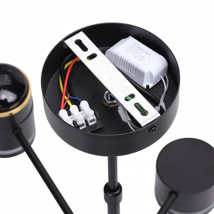 Люстра на штанге Lumion Virsava 8234/6C