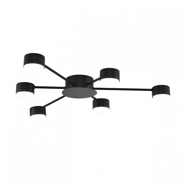 Потолочная люстра Lumion TORINA 8344/6C