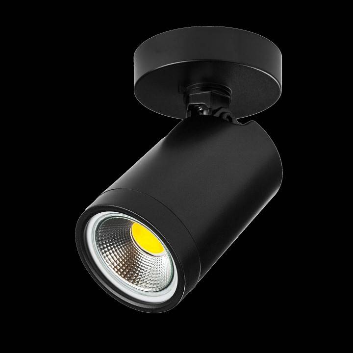 Светильник на штанге Lightstar Rullo 213407