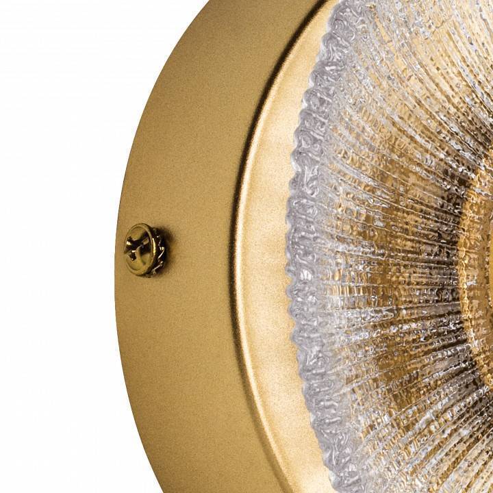 Накладной светильник Lightstar Erica 609602