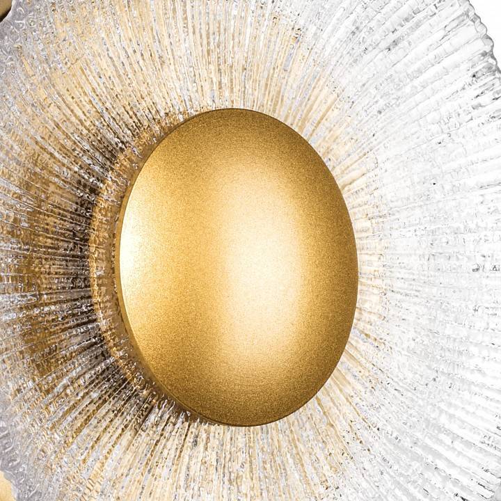 Накладной светильник Lightstar Erica 609602