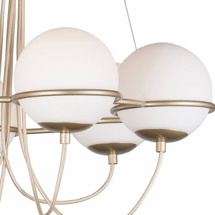 Подвесная люстра Lightstar Globo 6xG9 803263