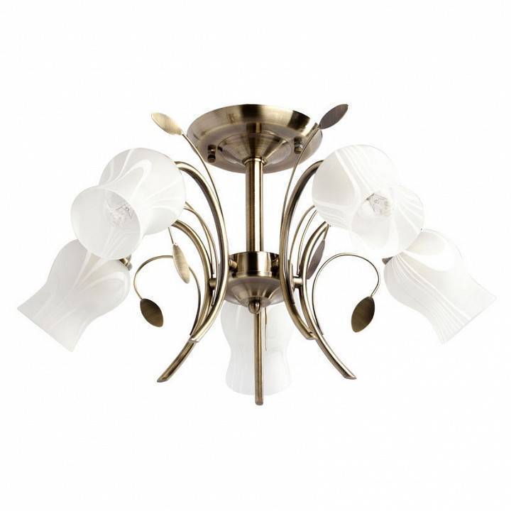 Люстра на штанге MW-Light Флора 19 5 ламп 256018205