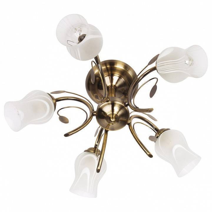 Люстра на штанге MW-Light Флора 19 5 ламп 256018205