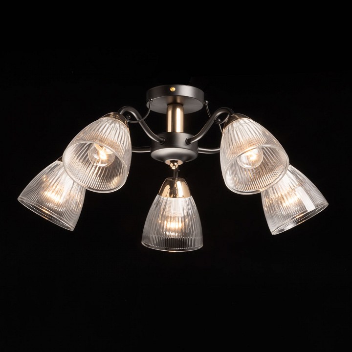 Люстра на штанге De City Альфа 5 ламп 324019505