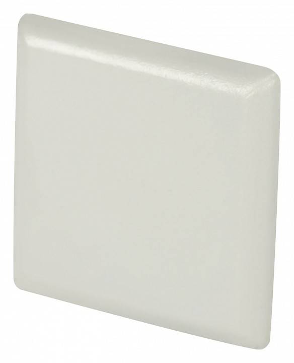 Заглушка для профиля Maytoni ALM009EC