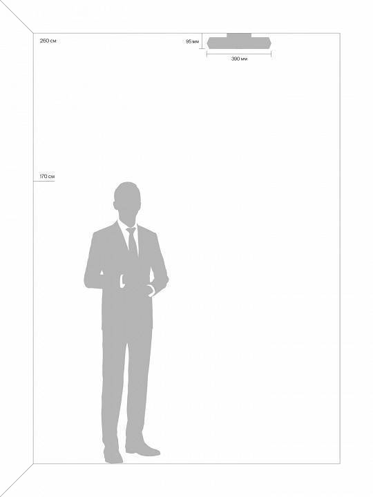 Накладной светильник Freya Cells FR10012CL-L24W