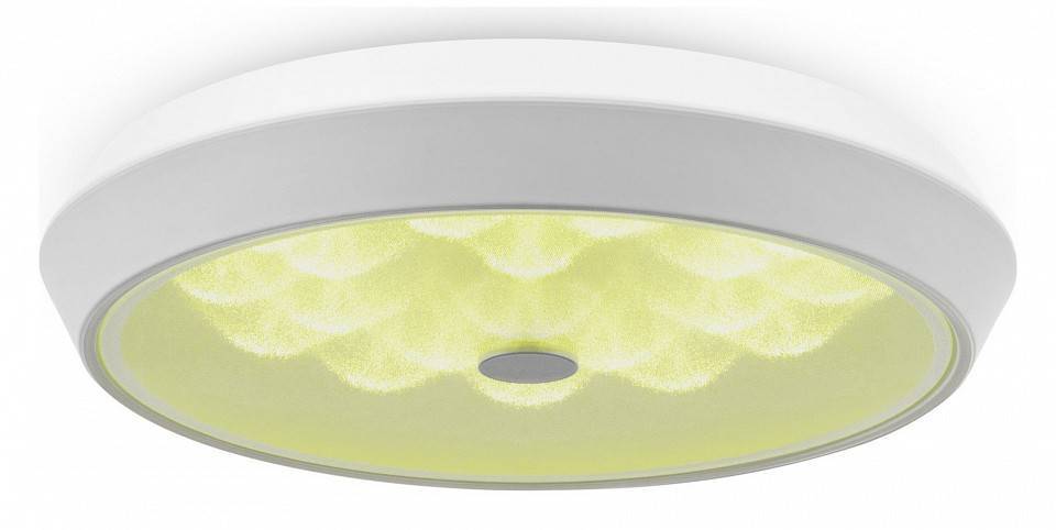 Накладной светильник Freya Cells FR10012CL-L24W