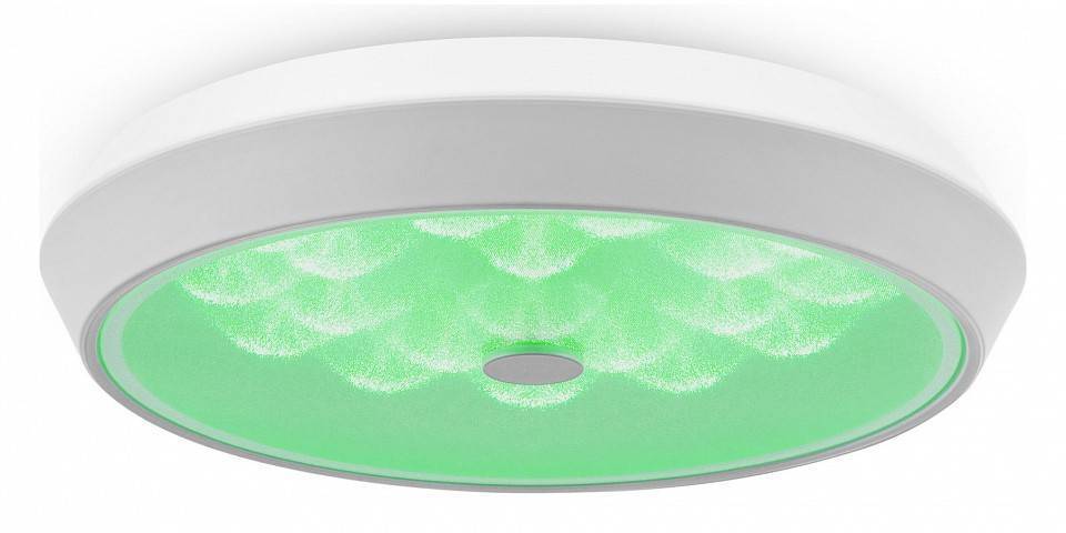 Накладной светильник Freya Cells FR10012CL-L24W