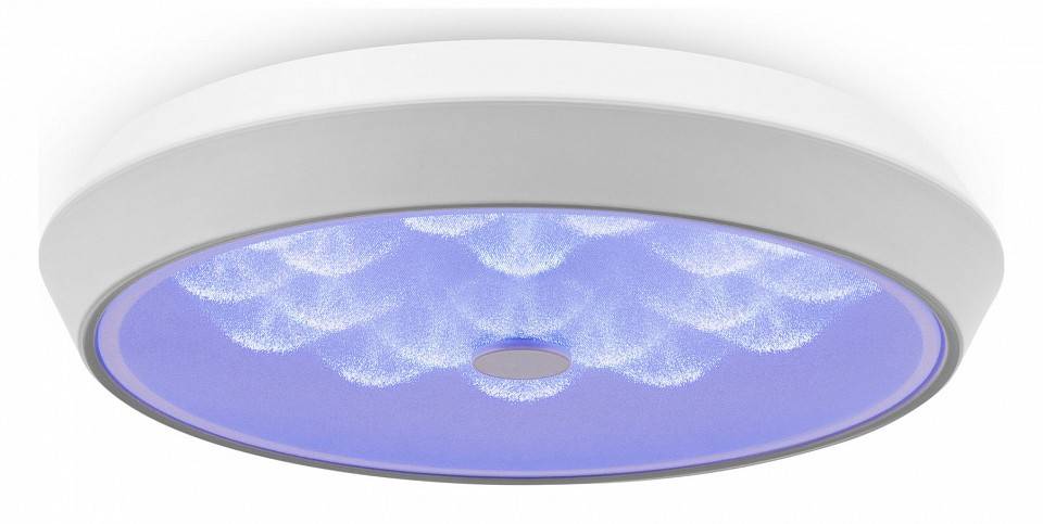 Накладной светильник Freya Cells FR10012CL-L24W