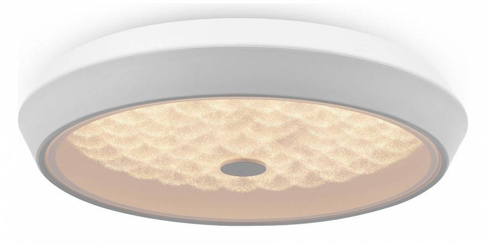 Накладной светильник Freya Cells FR10012CL-L24W