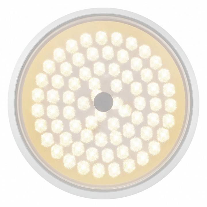 Накладной светильник Freya Cells FR10012CL-L24W