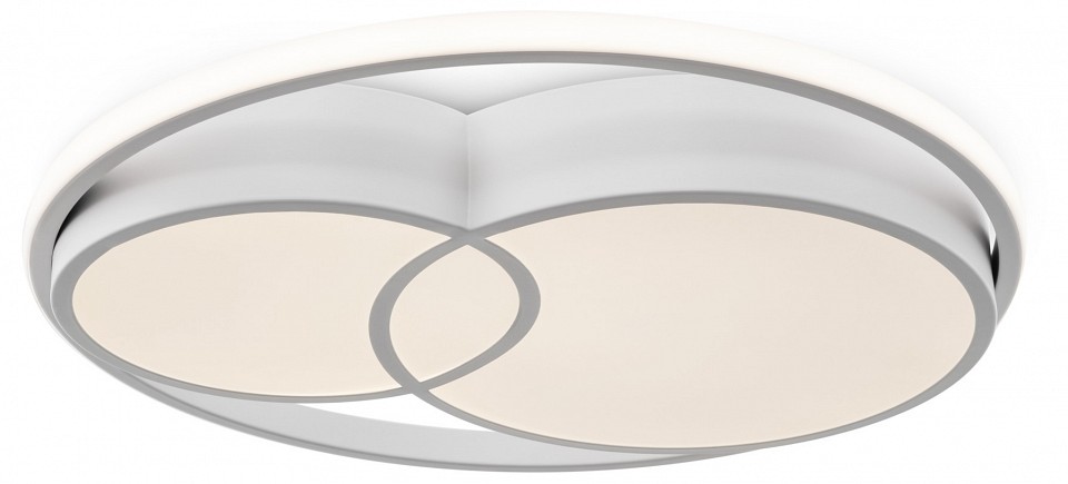 Накладной светильник Freya  FR10029CL-L70W