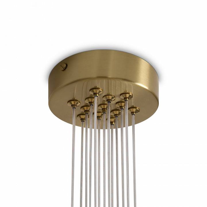 Потолочная люстра Freya Fiesta 13 ламп FR5531CL-13BS