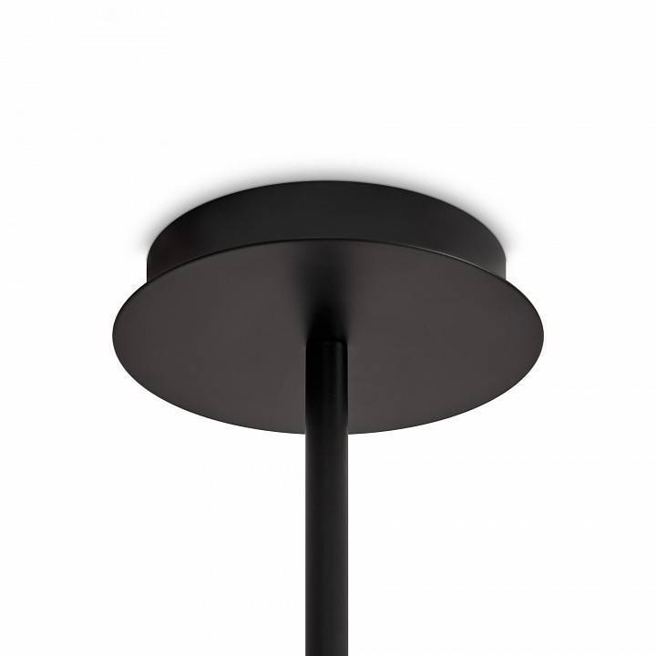 Люстра на штанге Freya Flight FR5544CL-10B